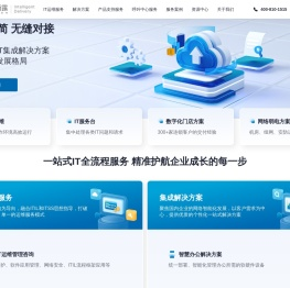 客户信赖的专业IT服务提供商