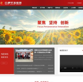 合肥华泰集团股份有限公司