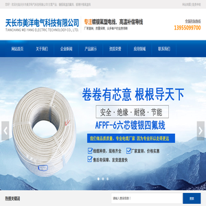 镀银高温四氟线