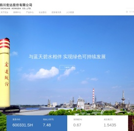 四川宏达股份有限公司