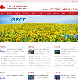 广西咨询顾问