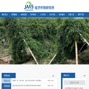 经济作物研究所