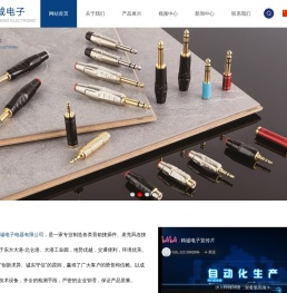 宁波市北仑精诚电子电器有限公司