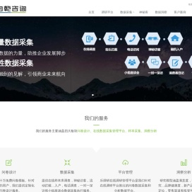 专业第三方市场调研公司