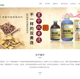 冀中药业