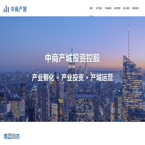 中商产城集团