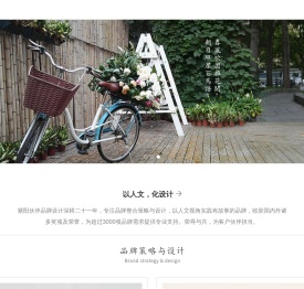 紫阳伙伴