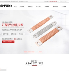 铜编织带