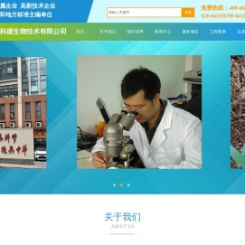 广州白蚁防治