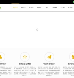 专业级国际志愿者组织