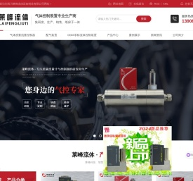 质量流量控制器厂家