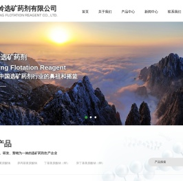 铁岭选矿药剂有限公司