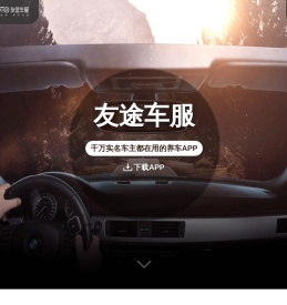 车辆违章查询