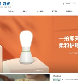 福州冠洲电子有限公司