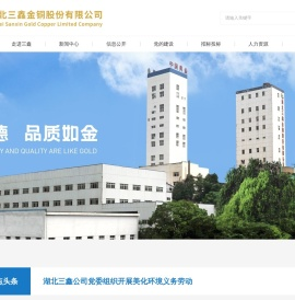 湖北三鑫金铜股份有限公司