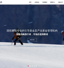 国投创合基金管理有限公司