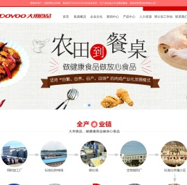 河南大用实业有限公司