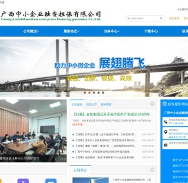广西中小企业融资担保有限公司