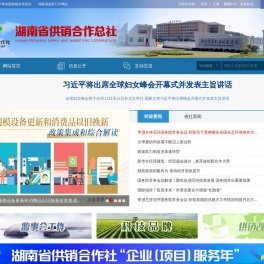 湖南省供销合作总社