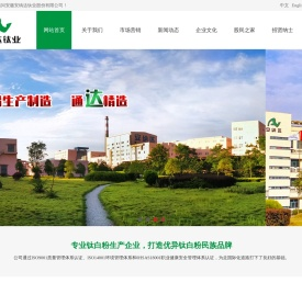 安徽安纳达钛业股份有限公司