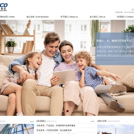 中欧国际集团