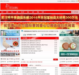 中鸽云