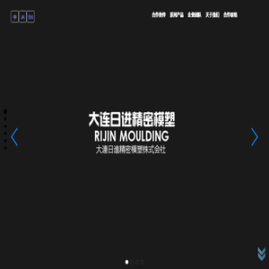 大连日进精密模塑有限公司