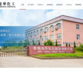 安徽龙华化工股份有限公司