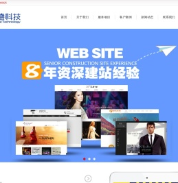 专业网站建设公司,高端网站设计制作