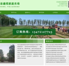 河北省石家庄市栾城区草坪种植基地