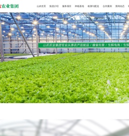 东莞蔬菜公司