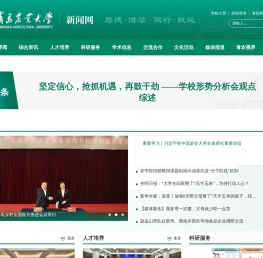 新闻网