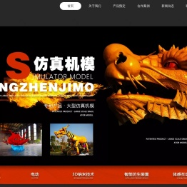 自贡华娱科技有限公司