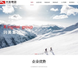 广东兴美集团有限公司