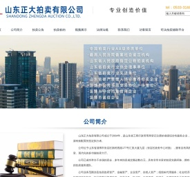 山东正大拍卖有限公司