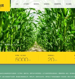 吉林德翔集团