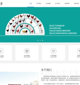 西安罗曼实业官网