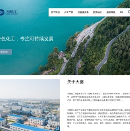 天德化工控股有限公司