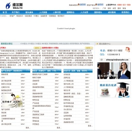 广东猎头维尔斯