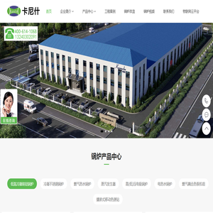 低氮冷凝铸铝锅炉