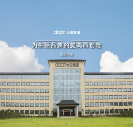 大安控股集团股份有限公司