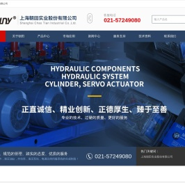 上海朝田实业股份有限公司