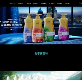 索芙特智慧品牌管理有限公司