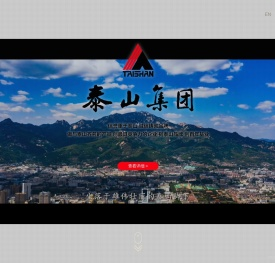 泰山集团股份有限公司