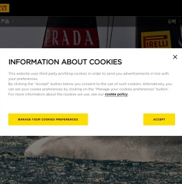 世界领先品牌倍耐力轮胎