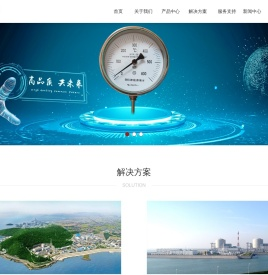 铠装热电阻