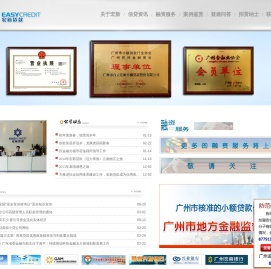 广州市白云宏新小额贷款股份有限公司