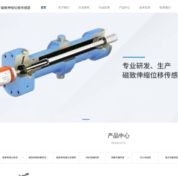 磁致伸缩位移传感器