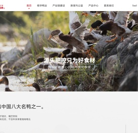 湖南临武舜华鸭业官方网站