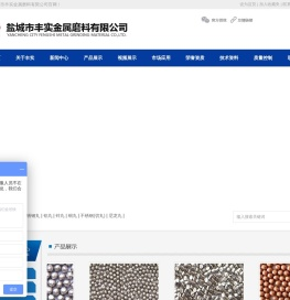 不锈钢丸304/430